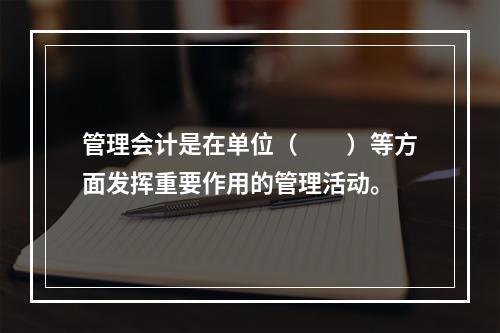 管理会计是在单位（　　）等方面发挥重要作用的管理活动。