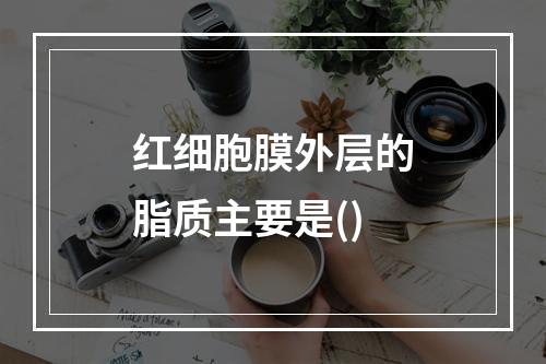 红细胞膜外层的脂质主要是()