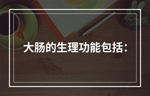 大肠的生理功能包括：