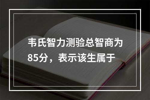 韦氏智力测验总智商为85分，表示该生属于