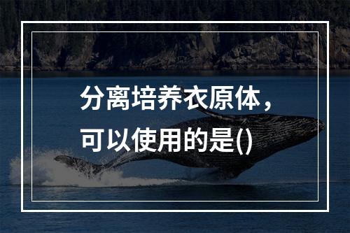 分离培养衣原体，可以使用的是()