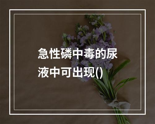 急性磷中毒的尿液中可出现()