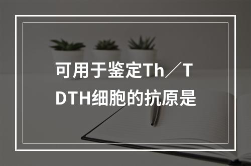 可用于鉴定Th／TDTH细胞的抗原是