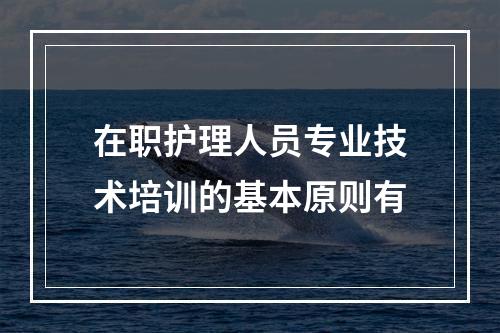 在职护理人员专业技术培训的基本原则有