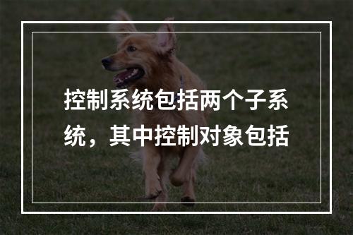 控制系统包括两个子系统，其中控制对象包括