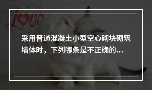 采用普通混凝土小型空心砌块砌筑墙体时，下列哪条是不正确的？