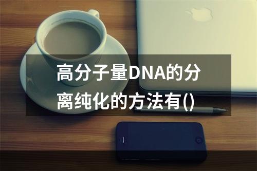 高分子量DNA的分离纯化的方法有()