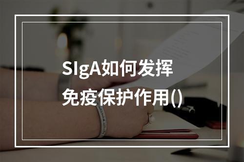 SIgA如何发挥免疫保护作用()