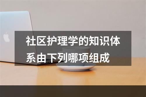 社区护理学的知识体系由下列哪项组成