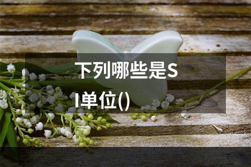 下列哪些是SI单位()