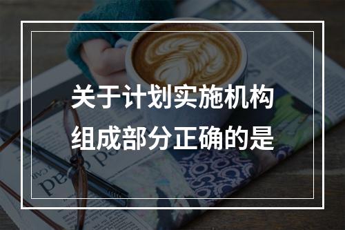 关于计划实施机构组成部分正确的是