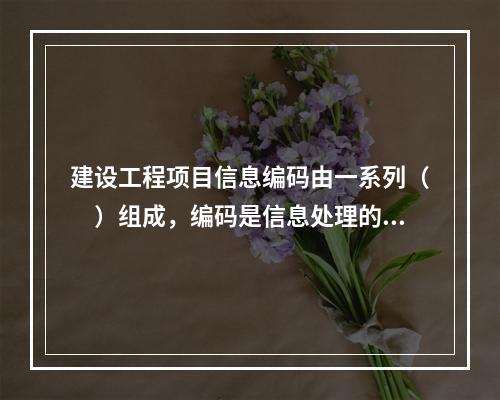 建设工程项目信息编码由一系列（　）组成，编码是信息处理的一项