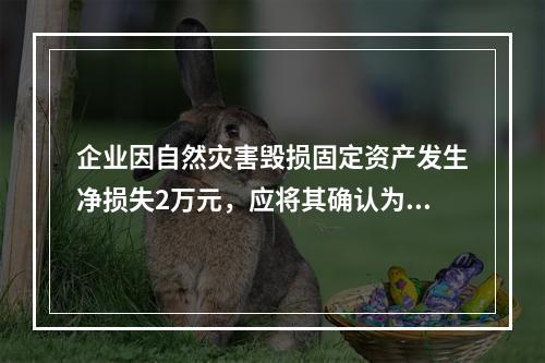 企业因自然灾害毁损固定资产发生净损失2万元，应将其确认为费用