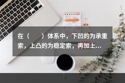 在（　　）体系中，下凹的为承重索，上凸的为稳定索，再加上连接