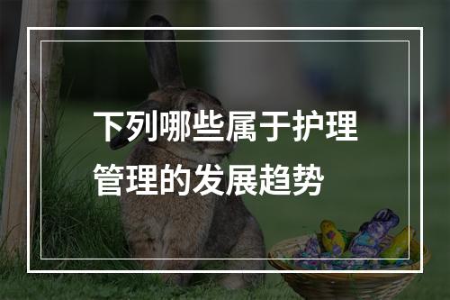 下列哪些属于护理管理的发展趋势