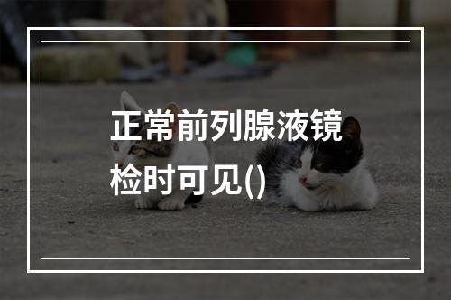 正常前列腺液镜检时可见()