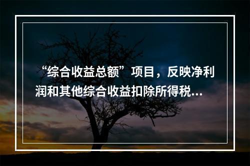 “综合收益总额”项目，反映净利润和其他综合收益扣除所得税影响