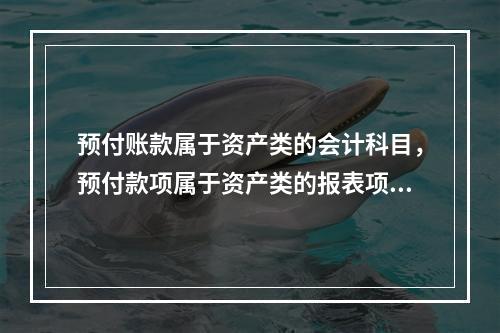 预付账款属于资产类的会计科目，预付款项属于资产类的报表项目。