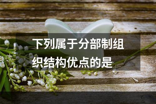 下列属于分部制组织结构优点的是