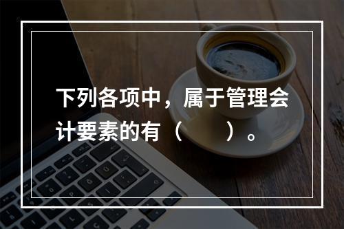 下列各项中，属于管理会计要素的有（　　）。