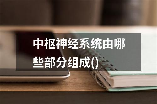 中枢神经系统由哪些部分组成()