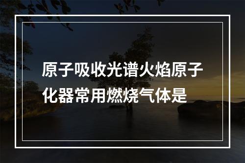 原子吸收光谱火焰原子化器常用燃烧气体是