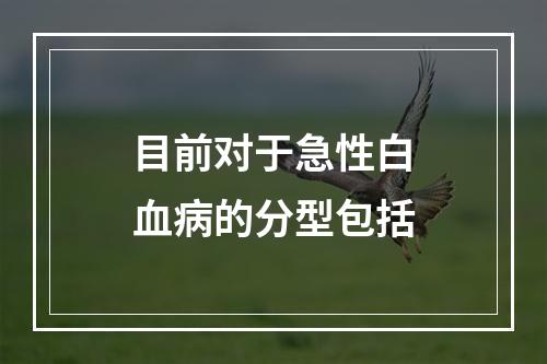 目前对于急性白血病的分型包括