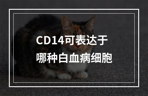 CD14可表达于哪种白血病细胞