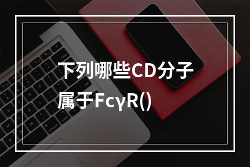 下列哪些CD分子属于FcγR()