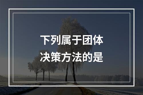 下列属于团体决策方法的是