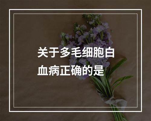 关于多毛细胞白血病正确的是