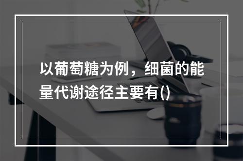 以葡萄糖为例，细菌的能量代谢途径主要有()