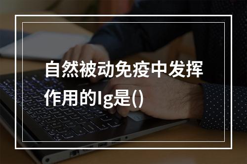 自然被动免疫中发挥作用的Ig是()