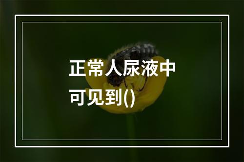 正常人尿液中可见到()