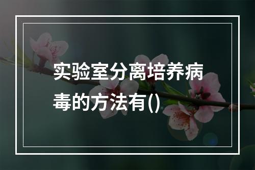 实验室分离培养病毒的方法有()