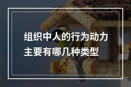 组织中人的行为动力主要有哪几种类型