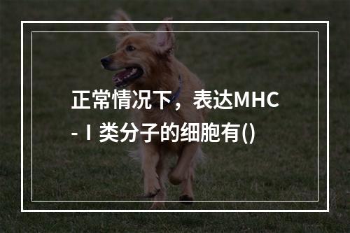 正常情况下，表达MHC-Ⅰ类分子的细胞有()