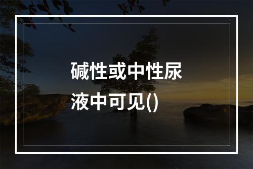 碱性或中性尿液中可见()