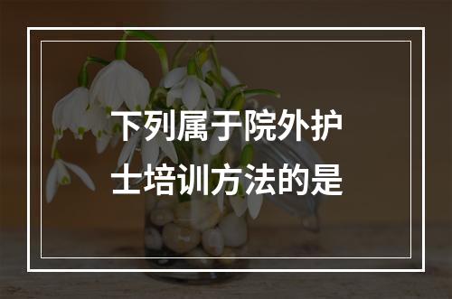 下列属于院外护士培训方法的是