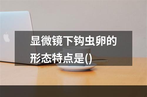 显微镜下钩虫卵的形态特点是()