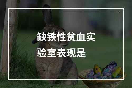 缺铁性贫血实验室表现是