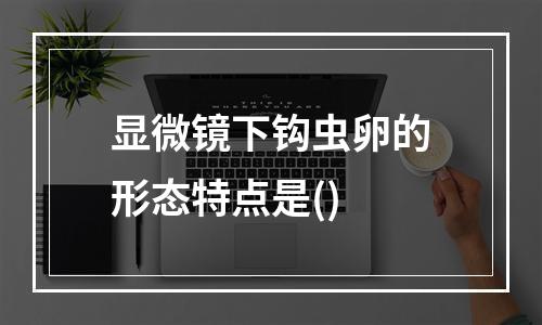 显微镜下钩虫卵的形态特点是()