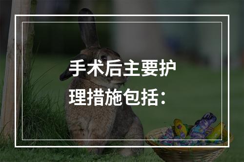 手术后主要护理措施包括：