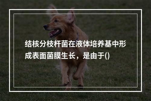 结核分枝杆菌在液体培养基中形成表面菌膜生长，是由于()