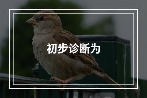 初步诊断为