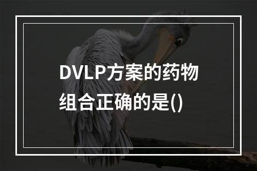 DVLP方案的药物组合正确的是()