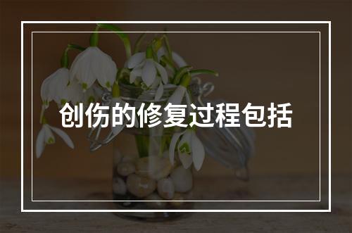 创伤的修复过程包括