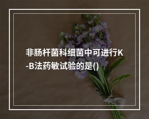 非肠杆菌科细菌中可进行K-B法药敏试验的是()