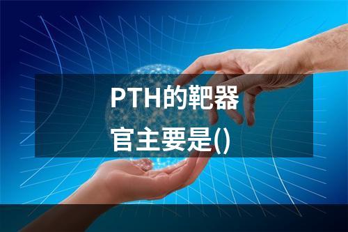 PTH的靶器官主要是()