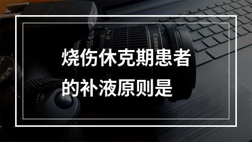 烧伤休克期患者的补液原则是